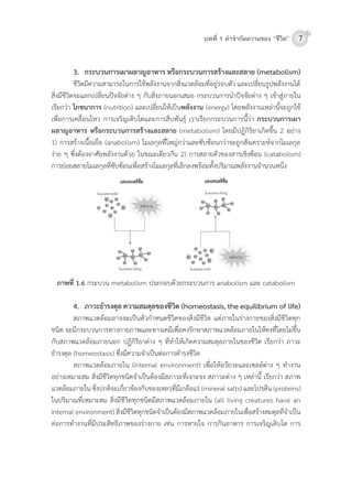 7บทที่ 1 คําจํากัดความของ “ชีวิต”
3. กระบวนการเผาผลาญอาหาร หรือกระบวนการสรางและสลาย (metabolism)
	 ชีวิตมีควำมสำมำรถในกำรใช้พลังงำนจำกสิ่งแวดล้อมที่อยู่รอบตัว	และเปลี่ยนรูปพลังงำนได้	
สิ่งมีชีวิตจะแลกเปลี่ยนปจจัยต่ำง	ๆ	กับสิ่งภำยนอกเสมอ	กระบวนกำรน�ำปจจัยต่ำง	ๆ	เข้ำสู่ภำยใน
เรียกว่ำ โภชนาการ (nutrition)	และเปลี่ยนให้เป็นพลังงาน (energy)	โดยพลังงำนเหล่ำนี้จะถูกใช้
เพื่อกำรเคลื่อนไหว	กำรเจริญเติบโตและกำรสืบพันธุ์	เรำเรียกกระบวนกำรนี้ว่ำ	กระบวนการเผา
ผลาญอาหาร หรือกระบวนการสรางและสลาย	(metabolism)	โดยมีปฏิกิริยำเกิดขึ้น	2	อย่ำง	
1)	กำรสร้ำงเนื้อเยื่อ	(anabolism)	โมเลกุลที่ใหญ่กว่ำและซับซ้อนกว่ำจะถูกสังเครำะห์จำกโมเลกุล				
ง่ำย	ๆ	ซึ่งต้องอำศัยพลังงำนด้วย	ในขณะเดียวกัน	2)	กำรสลำยตัวของสำรเชิงซ้อน	(catabolism)	
กำรย่อยสลำยโมเลกุลที่ซับซ้อนเพื่อสร้ำงโมเลกุลที่เล็กลงพร้อมทั้งปริมำณพลังงำนจ�ำนวนหนึ่ง
ภาพที่ 1.6 กระบวน	metabolism	ประกอบด้วยกระบวนกำร	anabolism	และ	catabolism
4. ภาวะธํารงดุล ความสมดุลของชีวิต (homeostasis, the equilibrium of life)
	 สภำพแวดล้อมอำจจะเป็นตัวก�ำหนดชีวิตของสิ่งมีชีวิต	แต่ภำยในร่ำงกำยของสิ่งมีชีวิตทุก
ชนิด	จะมีกระบวนกำรทำงกำยภำพและทำงเคมีเพื่อคงรักษำสภำพแวดล้อมภำยในให้คงที่โดยไม่ขึ้น
กับสภำพแวดล้อมภำยนอก	ปฏิกิริยำต่ำง	ๆ	ที่ท�ำให้เกิดควำมสมดุลภำยในของชีวิต	เรียกว่ำ	ภำวะ
ธ�ำรงดุล	(homeostasis)	ซึ่งมีควำมจ�ำเป็นต่อกำรด�ำรงชีวิต
	 สภำพแวดล้อมภำยใน	(internal	environment)	เพื่อให้อวัยวะและเซลล์ต่ำง	ๆ	ท�ำงำน
อย่ำงเหมำะสม	สิ่งมีชีวิตทุกชนิดจ�ำเป็นต้องมีสภำวะที่เจำะจง	สภำวะต่ำง	ๆ	เหล่ำนี้	เรียกว่ำ	สภำพ
แวดล้อมภำยใน	ซึ่งปกติจะเกี่ยวข้องกับของเหลวที่มีเกลือแร่	(mineral	salts)	และโปรตีน	(proteins)	
ในปริมำณที่เหมำะสม	สิ่งมีชีวิตทุกชนิดมีสภำพแวดล้อมภำยใน	(all	living	creatures	have	an
internal	environment)	สิ่งมีชีวิตทุกชนิดจ�ำเป็นต้องมีสภำพแวดล้อมภำยในเพื่อสร้ำงสมดุลที่จ�ำเป็น
ต่อกำรท�ำงำนที่มีประสิทธิภำพของร่ำงกำย	เช่น	กำรหำยใจ	กำรกินอำหำร	กำรเจริญเติบโต	กำร
 