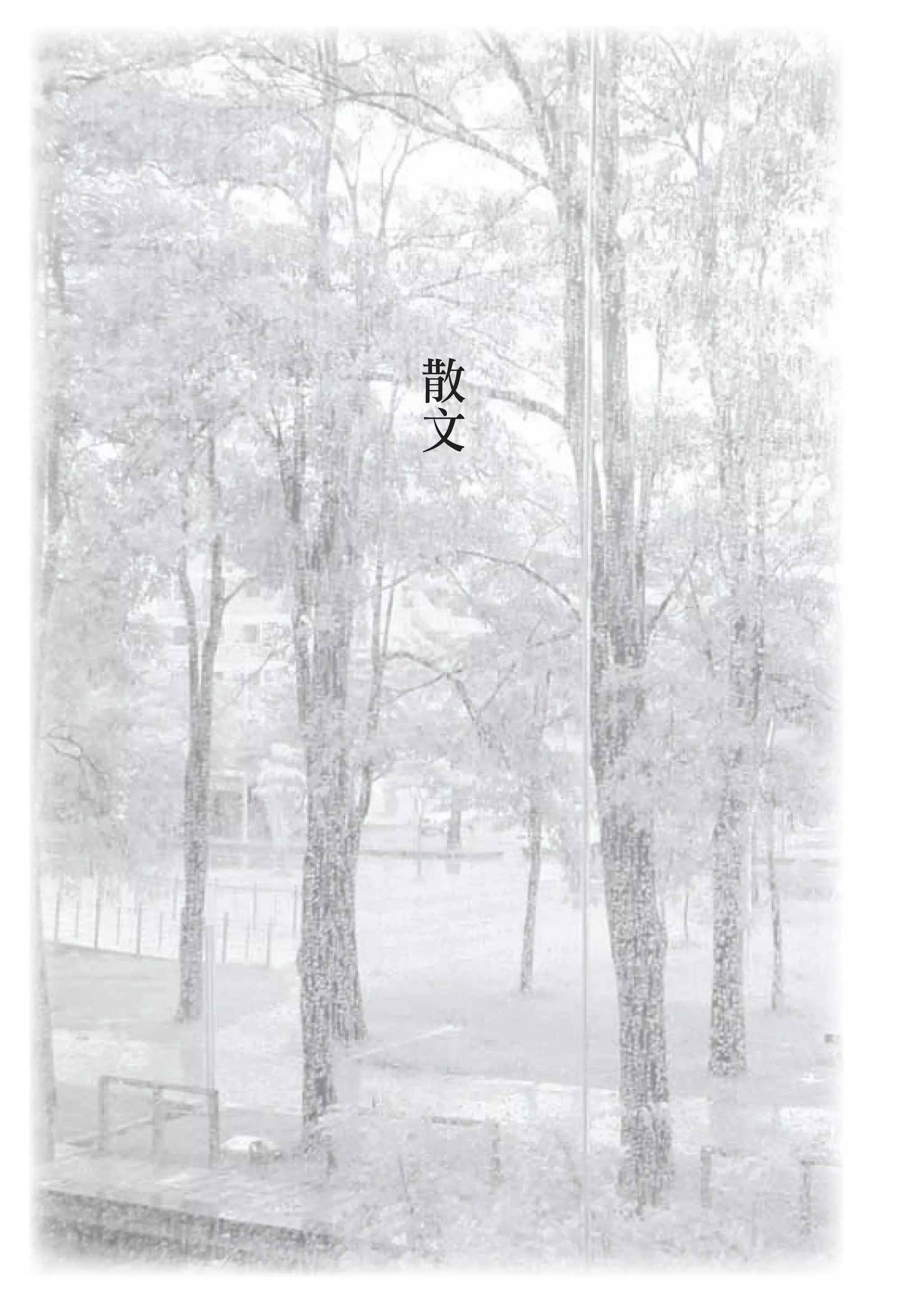 散
文
 