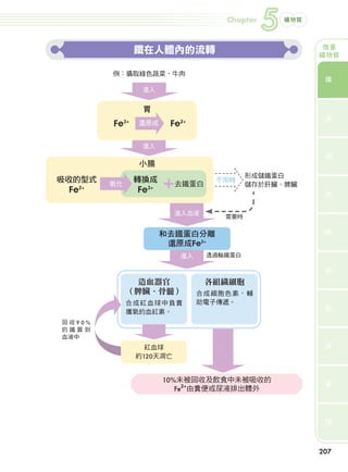 Chapter
                                                                          5   礦物質



                                                                                         微量
                                          鐵在人體內的流轉                                      礦物質

                                例：攝取綠色蔬菜、牛肉                                                鐵

                                           進入


                                           胃                                               鉻
                                Fe   3+   還原成     Fe   2+




                                           進入
                                                                                           銅

                                          小腸
                                                                      形成儲鐵蛋白
                  吸收的型式                   轉換成                 不用時
                                氧化                  去鐵蛋白              儲存於肝臟、脾臟
                       Fe2+               Fe3+                                             鈷


                                                    進入血液
                                                                需要時
                                                                                           碘
                                                 和去鐵蛋白分離
                                                  還原成Fe2+
                                                       進入    透過輸鐵蛋白
                                                                                           鉬

                                       造血器官                  各組織細胞
                                     （脾臟、骨髓）                合成細胞色素，輔
                                     合成紅血球中負責               助電子傳遞。                         硒
                                     攜氧的血紅素。
                    回收90%
                    的鐵質到
                    血液中
                                                                                           鋅
                                            紅血球
                                          約120天凋亡


                                                 10%未被回收及飲食中未被吸收的                          氟
                                                    Fe2+由糞便或尿液排出體外


                                                                                           錳




                                                                                        207




204-247-圖解營養全書-ch5-2.indd 207                                                       2012/6/21 上午10:48
 
