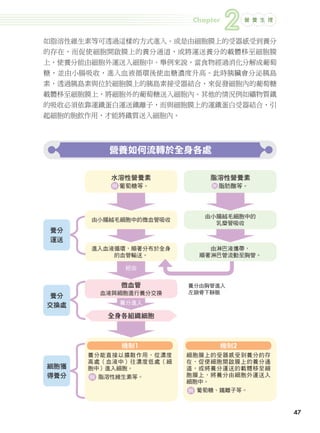 Chapter
                                                         2   營 養 生 理



               如脂溶性維生素等可透過這樣的方式進入。或是由細胞膜上的受器感受到養分
               的存在，而促使細胞開啟膜上的養分通道，或將運送養分的載體移至細胞膜
               上，使養分能由細胞外運送入細胞中。舉例來說，當食物經過消化分解成葡萄
               糖，並由小腸吸收，進入血液循環後使血糖濃度升高。此時胰臟會分泌胰島
               素，透過胰島素與位於細胞膜上的胰島素接受器結合，來促發細胞內的葡萄糖
               載體移至細胞膜上，將細胞外的葡萄糖送入細胞內。其他的情況例如礦物質鐵
               的吸收必須依靠運鐵蛋白運送鐵離子，而與細胞膜上的運鐵蛋白受器結合，引
               起細胞的胞飲作用，才能將鐵質送入細胞內。




                                營養如何流轉於全身各處

                                 水溶性營養素            脂溶性營養素
                                 　葡萄糖等。
                                 例                 　脂肪酸等。
                                                   例




                                                  由小腸絨毛細胞中的
                             由小腸絨毛細胞中的微血管吸收
                                                    乳糜管吸收
                  養分
                  運送
                             進入血液循環，順著分布於全身       由淋巴液攜帶，
                                 的血管輸送。         順著淋巴管流動至胸管。

                                   經由


                                  微血管         養分由胸管進入
                               血液與細胞進行養分交換    左鎖骨下靜脈
                 養分
                交換處               養分進入

                                全身各組織細胞



                                  機制1                機制2
                             養分能直接以擴散作用，從濃度   細胞膜上的受器感受到養分的存
                             高處（血液中）往濃度低處（細   在，促使細胞開啟膜上的養分通
                細胞獲          胞中）進入細胞。         道，或將養分運送的載體移至細
                得養分          例 脂溶性維生素等。       胞膜上，將養分由細胞外運送入
                                              細胞中。
                                              例 葡萄糖、鐵離子等。



                                                                           47




024-051-圖解營養全書-ch2.indd 47                                             2012/6/21 上午9:54
 