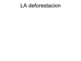 LA deforestacion ,[object Object]