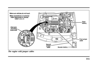 215 
The engine with jumper cables 
 
