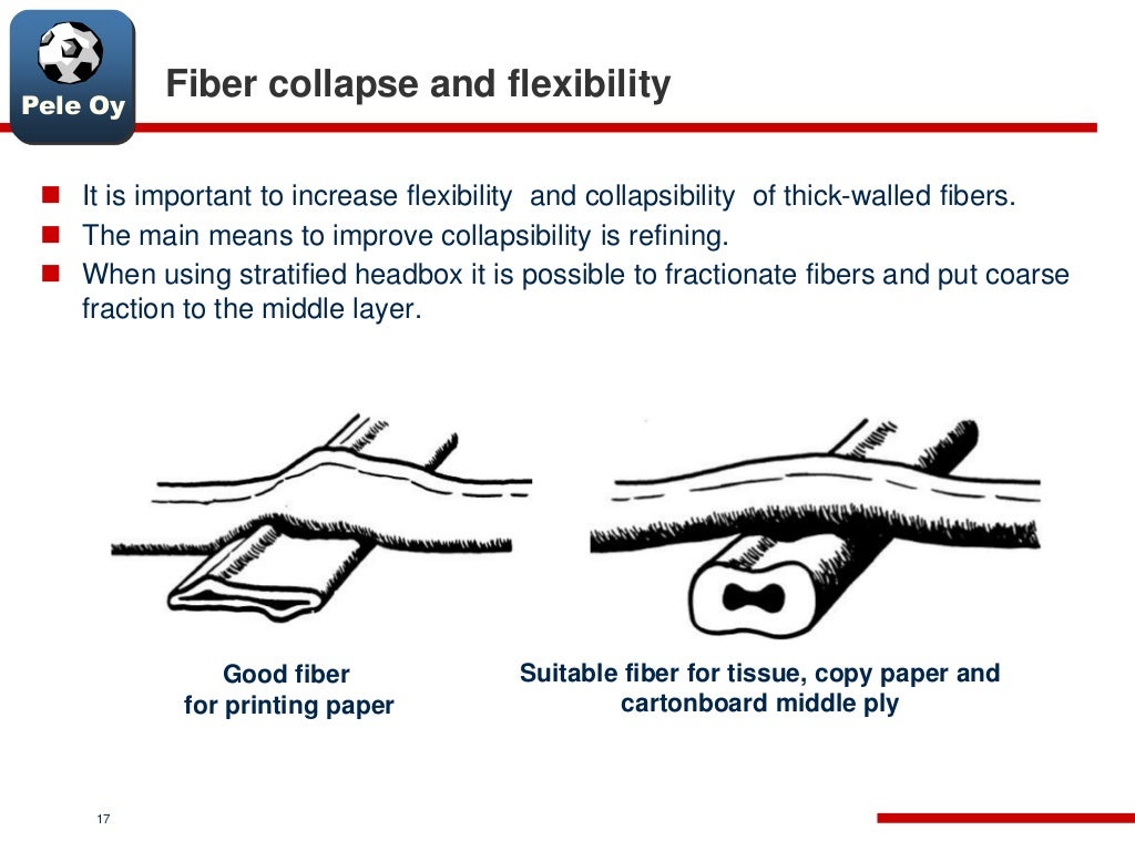 Fiber and Pulp Characteristics for Papermaking
