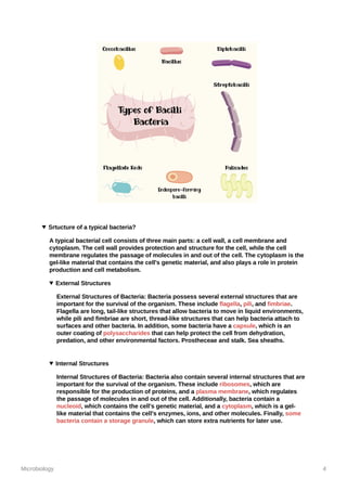 Microbiology 4
Srtucture of a typical bacteria?
A typical bacterial cell consists of three main parts: a cell wall, a cell membrane and
cytoplasm. The cell wall provides protection and structure for the cell, while the cell
membrane regulates the passage of molecules in and out of the cell. The cytoplasm is the
gel-like material that contains the cell's genetic material, and also plays a role in protein
production and cell metabolism.
External Structures
External Structures of Bacteria: Bacteria possess several external structures that are
important for the survival of the organism. These include flagella, pili, and fimbriae.
Flagella are long, tail-like structures that allow bacteria to move in liquid environments,
while pili and fimbriae are short, thread-like structures that can help bacteria attach to
surfaces and other bacteria. In addition, some bacteria have a capsule, which is an
outer coating of polysaccharides that can help protect the cell from dehydration,
predation, and other environmental factors. Prostheceae and stalk. Sea sheaths.
Internal Structures
Internal Structures of Bacteria: Bacteria also contain several internal structures that are
important for the survival of the organism. These include ribosomes, which are
responsible for the production of proteins, and a plasma membrane, which regulates
the passage of molecules in and out of the cell. Additionally, bacteria contain a
nucleoid, which contains the cell's genetic material, and a cytoplasm, which is a gel-
like material that contains the cell's enzymes, ions, and other molecules. Finally, some
bacteria contain a storage granule, which can store extra nutrients for later use.
 