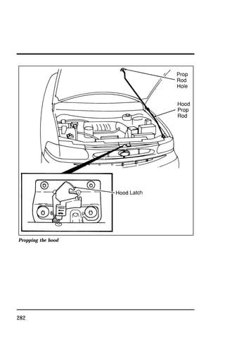 Propping the hood 
282 
 