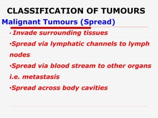 CLASSIFICATION OF TUMOURS
Malignant Tumours (Spread)
• Invade surrounding tissues
•Spread via lymphatic channels to lymph
nodes
•Spread via blood stream to other organs
i.e. metastasis
•Spread across body cavities
 