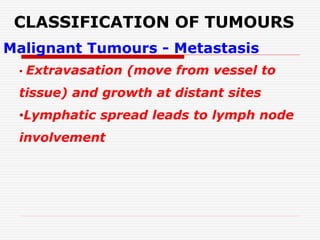 CLASSIFICATION OF TUMOURS
Malignant Tumours - Metastasis
• Extravasation (move from vessel to
tissue) and growth at distant sites
•Lymphatic spread leads to lymph node
involvement
 