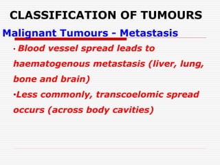 CLASSIFICATION OF TUMOURS
Malignant Tumours - Metastasis
• Blood vessel spread leads to
haematogenous metastasis (liver, lung,
bone and brain)
•Less commonly, transcoelomic spread
occurs (across body cavities)
 