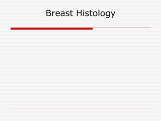 Breast Histology
 