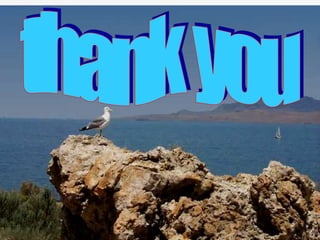 CLASSIFICATION OF TUMOURS