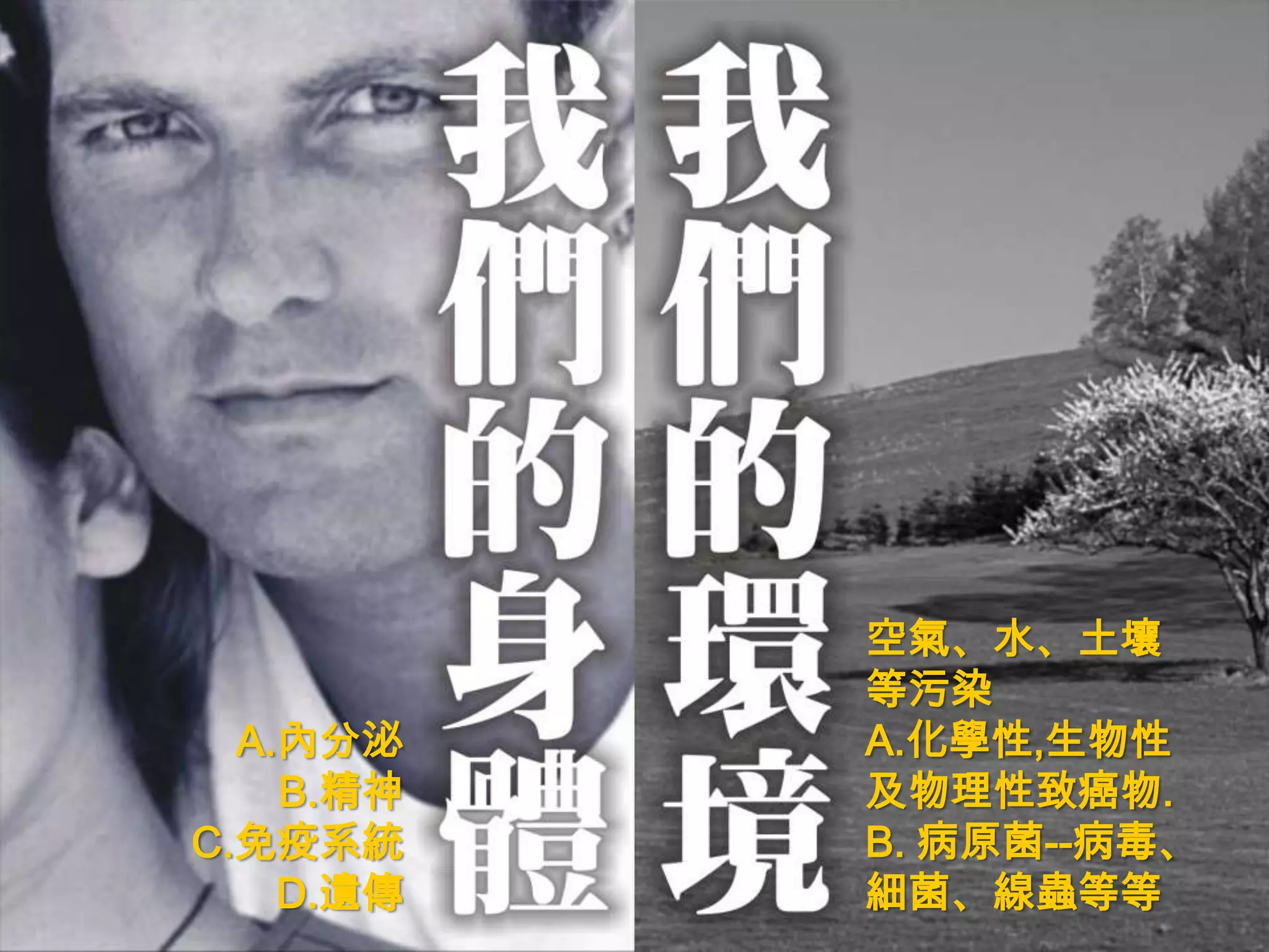 空氣、水、土壤
           等污染
  A.內分泌    A.化學性,生物性
    B.精神   及物理性致癌物.
C.免疫系統     B. 病原菌--病毒、
    D.遺傳   細菌、線蟲等等
 