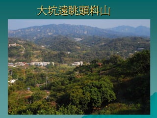 大坑遠眺頭嵙山
 