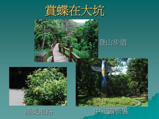 賞蝶在大坑

       登山步道




產業道路   中正露營區
 