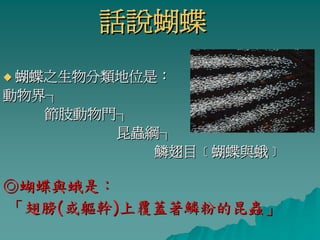 話說蝴蝶
 蝴蝶之生物分類地位是：
動物界┐
   節肢動物門┐
        昆蟲綱┐
           鱗翅目﹝蝴蝶與蛾﹞

◎蝴蝶與蛾是：
「翅膀(或軀幹)上覆蓋著鱗粉的昆蟲」
 