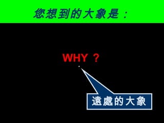您想到的大象是： 遠處的大象 WHY ？ 