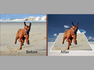Image Editing Before After
