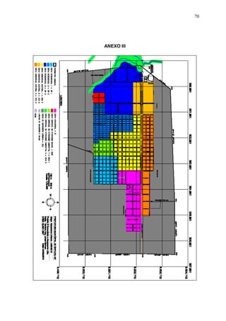 70
ANEXO III
 