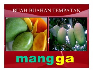 BUAH-BUAHAN TEMPATAN
 