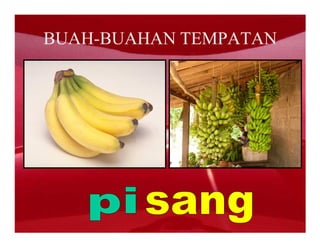 BUAH-BUAHAN TEMPATAN
 