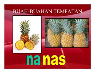 BUAH-BUAHAN TEMPATAN
 
