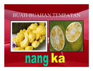 BUAH-BUAHAN TEMPATAN
 