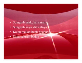 •   Sungguh enak, hai rasanya
•   Sungguh kaya khasiatnya
•   Kalau makan buah-buahan
•   Sihat seluruh badan
 