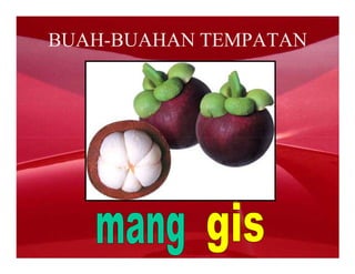 BUAH-BUAHAN TEMPATAN
 