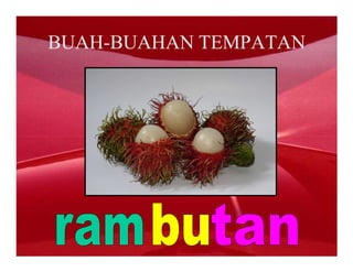 BUAH-BUAHAN TEMPATAN
 