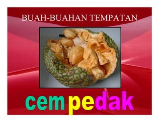 BUAH-BUAHAN TEMPATAN
 
