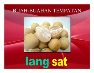 BUAH-BUAHAN TEMPATAN
 