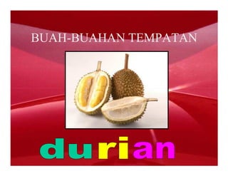 BUAH-BUAHAN TEMPATAN
 
