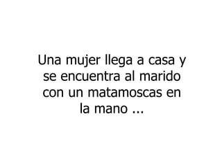 Una mujer llega a casa y se encuentra al marido con un matamoscas en la mano ...