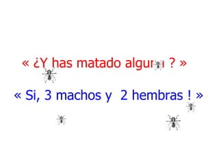 « ¿Y has matado alguna ? » « Si, 3 machos y 2 hembras ! »