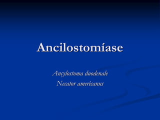 Ancilostomíase
Ancylostoma duodenale
Necator americanus
 