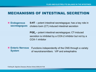MECHANISMS OF INTESTINAL SECRETION  Endogenous secretagogues 5-HT  – potent intestinal secretagogue; has a key role in cholera toxin (CT) induced intestinal secretion PGE 2  – potent intestinal secretagogue; CT-induced secretion is inhibited by a COX-2 inhibitor but not by a COX-1 inhibitor Enteric Nervous System FLUID AND ELECTROLYTE BALANCE IN THE INTESTINES Farthing M.  Digestive Diseases (Review Article)  2006;24:47-58 Functions independently of the CNS through a variety of neurotransmitters:  VIP and enkephalins 