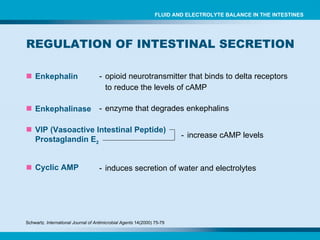REGULATION OF INTESTINAL SECRETION  Enkephalin - opioid neurotransmitter that binds to delta receptors to reduce the levels of cAMP Schwartz.  International Journal of Antimicrobial Agents  14(2000) 75-79 VIP (Vasoactive Intestinal Peptide) Prostaglandin E 2 - increase cAMP levels Cyclic AMP - induces secretion of water and electrolytes Enkephalinase - enzyme that degrades enkephalins FLUID AND ELECTROLYTE BALANCE IN THE INTESTINES 