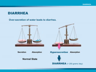 Over-secretion of water leads to diarrhea. Hypersecretion DIARRHEA   (> 200 grams /day) Secretion Absorption Absorption Normal State DIARRHEA DIARRHEA 