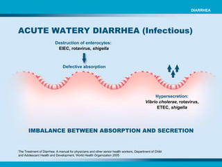 Destruction of enterocytes:   EIEC, rotavirus,  shigella Defective absorption Hypersecretion: Vibrio cholerae , rotavirus, ETEC,  shigella IMBALANCE BETWEEN ABSORPTION AND SECRETION The Treatment of Diarrhea: A manual for physicians and other senior health workers, Department of Child and Adolescent Health and Development, World Health Organization 2005 ACUTE WATERY DIARRHEA (Infectious)  DIARRHEA 