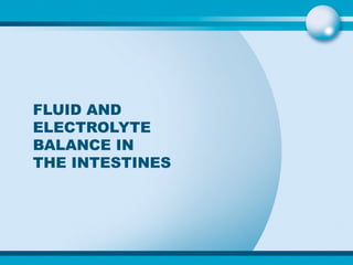 FLUID AND ELECTROLYTE BALANCE IN THE INTESTINES 