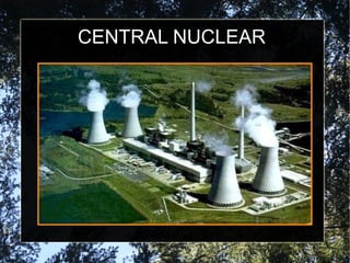 CENTRAL NUCLEAR
 