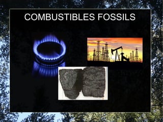 COMBUSTIBLES FOSSILS
 