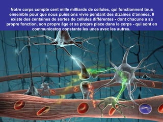 Notre corps compte cent mille milliards de cellules, qui fonctionnent tous
 ensemble pour que nous puissions vivre pendant des dizaines d’années. Il
  existe des centaines de sortes de cellules différentes - dont chacune a sa
propre fonction, son propre âge et sa propre place dans le corps - qui sont en
             communicaton constante les unes avec les autres.
 
