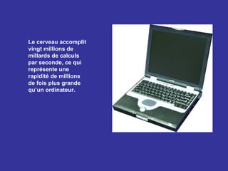 Le cerveau accomplit
vingt millions de
millards de calculs
par seconde, ce qui
représente une
rapidité de millions
de fois plus grande
qu’un ordinateur.
 