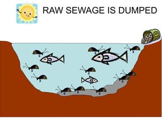 RAW SEWAGE IS DUMPED
 