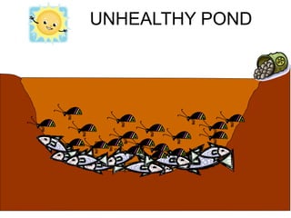UNHEALTHY POND
 