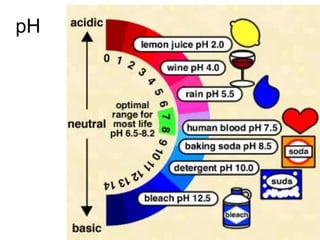 pH
 