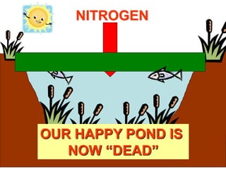 NITROGEN
OUR HAPPY POND IS
NOW “DEAD”
 