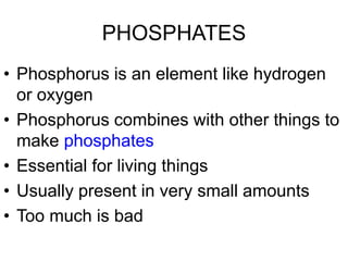 PHOSPHATES
• Phosphorus is an element like hydrogen
or oxygen
• Phosphorus combines with other things to
make phosphates
• Essential for living things
• Usually present in very small amounts
• Too much is bad
 