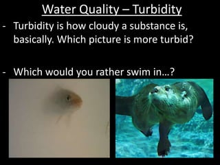 Water Quality – Turbidity
- Turbidity is how cloudy a substance is,
basically. Which picture is more turbid?
- Which would you rather swim in…?
 