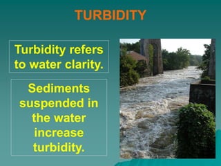 TURBIDITY
Turbidity refers
to water clarity.
Sediments
suspended in
the water
increase
turbidity.
 